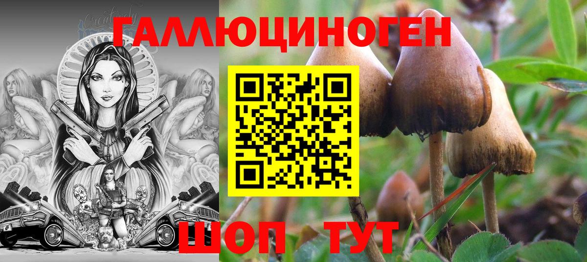 Галлюциногенные грибы Psilocybine cubensis Донецк