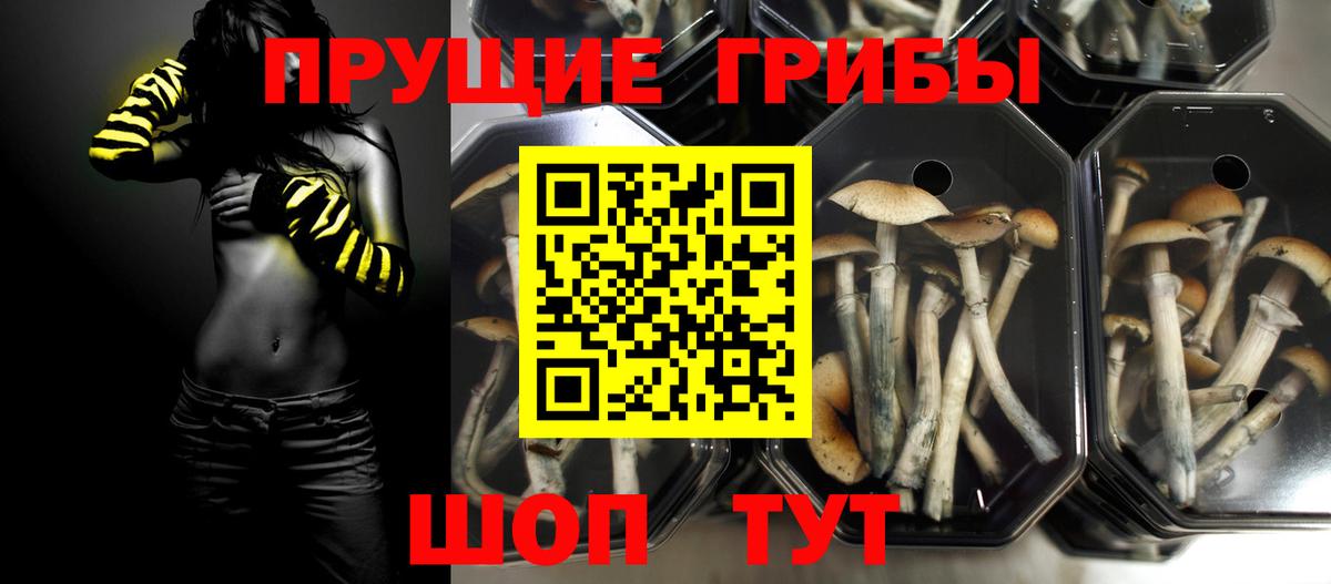 Галлюциногенные грибы Psilocybine cubensis  Вход с VPN  Донецк 